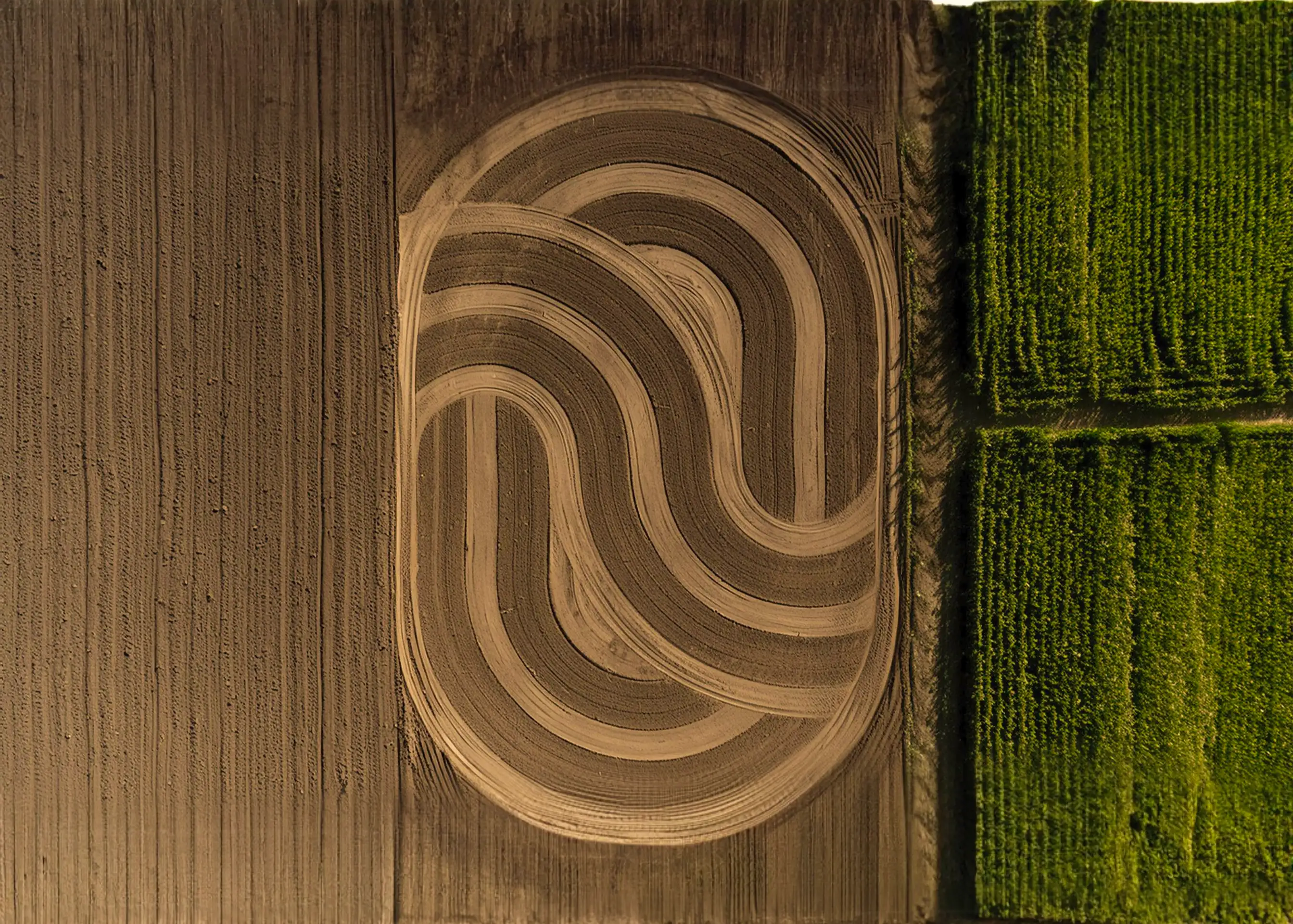 Aerial view of cultivated fields with a winding track, selected FNESG project artwork