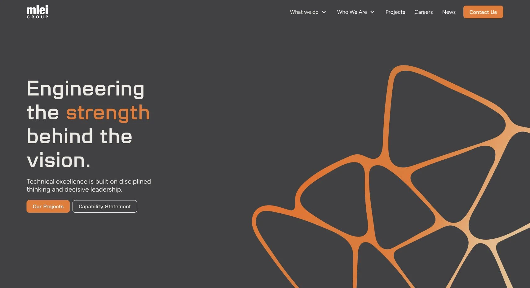 Redesigned MLEI home page